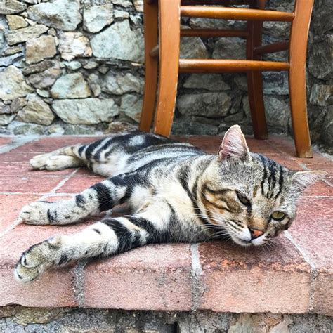 IL PARADISO DI MANU (Noli) - Inn Reviews, Photos, Rate Comparison ...