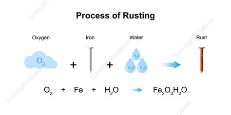 Image result for Rusting Science