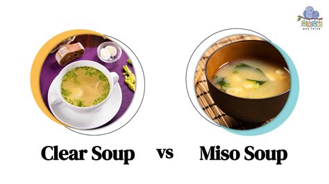 Miso Soup Pregnancy Australia at Harlan Rockwood blog