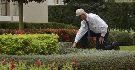 Massey Services - Pest Control, Termite Inspection & Lawn Services