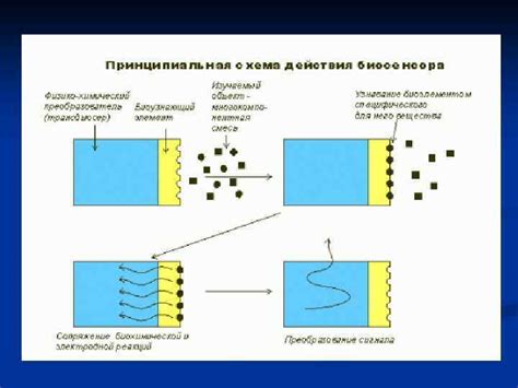 Электрохимические биосенсоры Биосенсор это аналитическое устройство