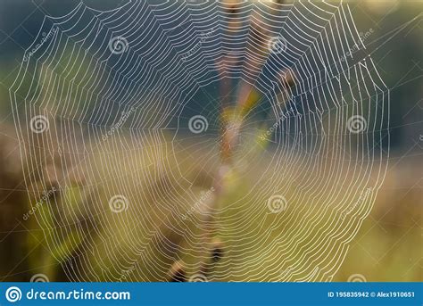 Image result for Source Coding