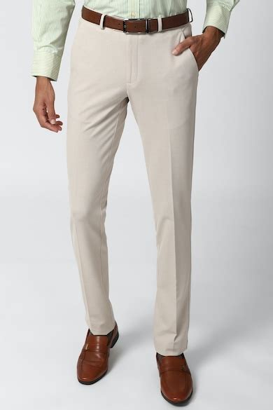 Buy Men Beige Textured Formal Trousers Online - 609448 | Peter England