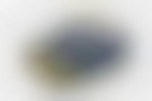 Melting Sole Shoes : Drippy