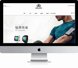 最新浙江网站设计模板建站 的图像结果