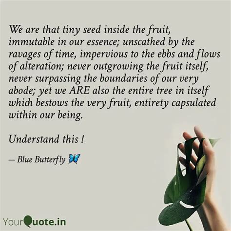 We are that tiny seed ins... | Quotes & Writings by Blue Butterfly ...