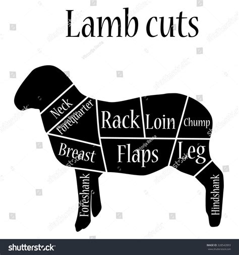 Lamb Meat Cuts Diagram