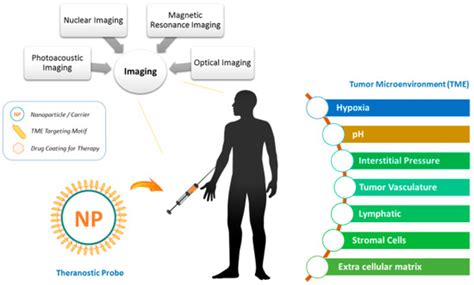 IJMS | Special Issue : Cancer Molecular Imaging in the Era of Precision ...