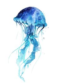 Jellyfish png free (13) - Photo #1512 - BiNps PNG Website