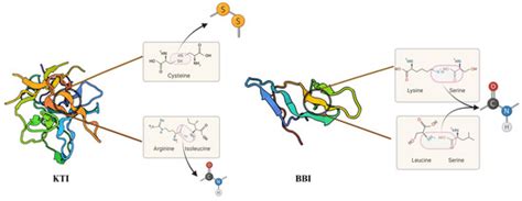Advancements in Inactivation of Soybean Trypsin Inhibitors
