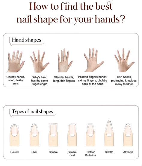 Find the best nail shape gor your hands | Nail shapes, Acrylic nail shapes, Types of nails shapes