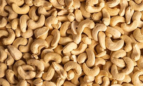 Can I eat Cashew Nuts while pregnant? The risks of Cashew Nuts during pregnancy. - Pregnancy ...