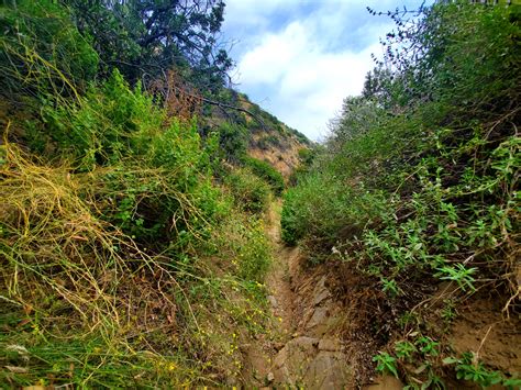 The Secret Shrine of Wattles Garden Park Trail (or Harper Monkey Path ...