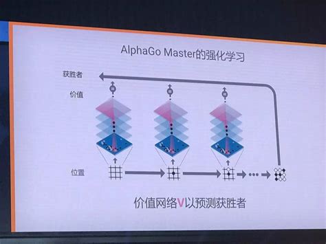 Alphago Algorithm 的图像结果