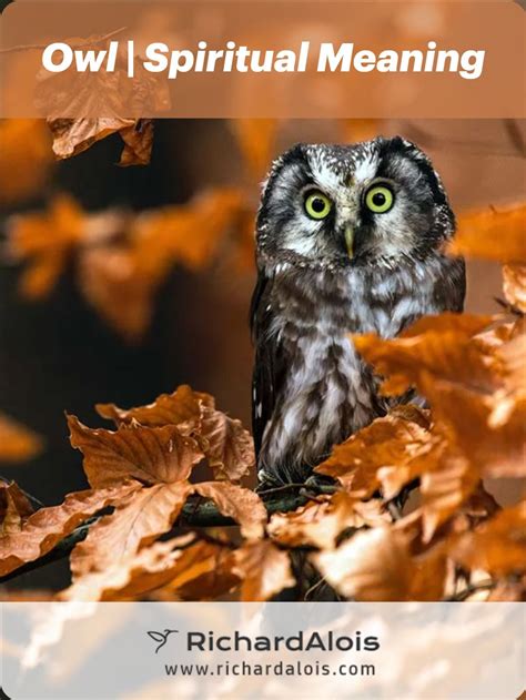 Spirit Of An Owl at Christopher Ludlum blog