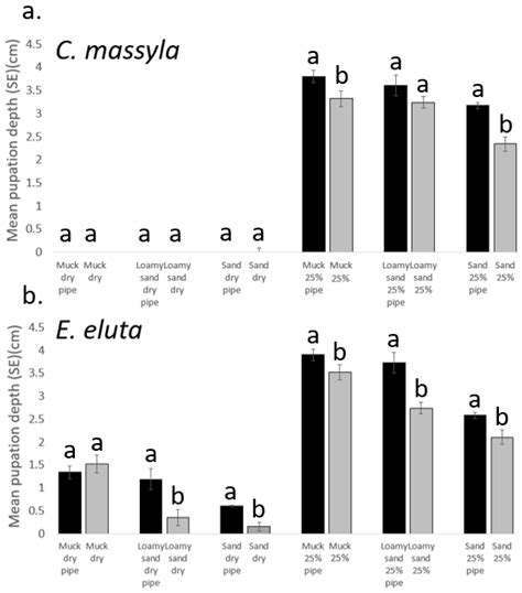 Substrate and Moisture Affect the Pupation Depth of the Corn Silk Flies ...