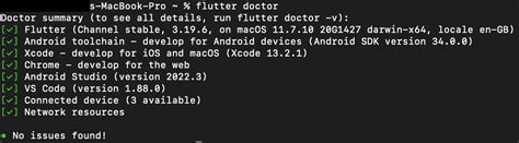 Flutter in Xcode 的图像结果