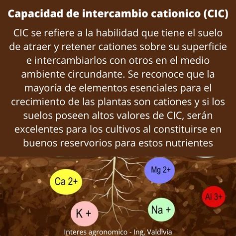 Interés agronómico on Twitter: "Capacidad de intercambio cationico (CIC ...