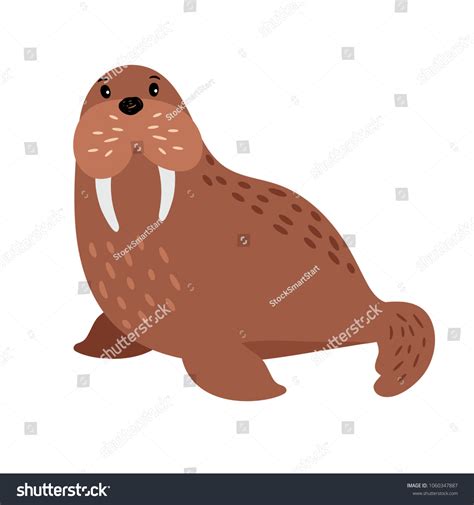Walrus Mustache Clip Art 60+ Walrus Mustache Stock Illustrations,