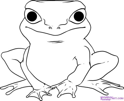 frog drawing outline