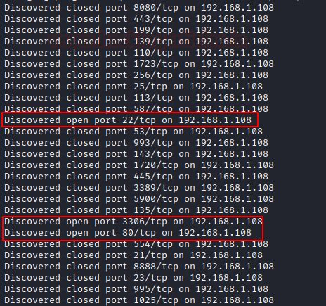 Nmap Output Examples 的图像结果