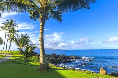 What Is The Best Beach In Maui at Shanita Parker blog
