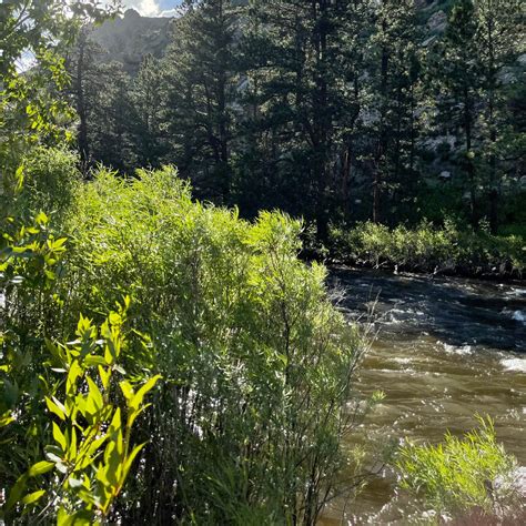 Upper and Lower Ansel Watrous Campgrounds | Livermore, Colorado