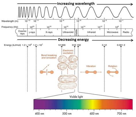 Welcome to Virtual Labs - A MHRD Govt of india Initiative