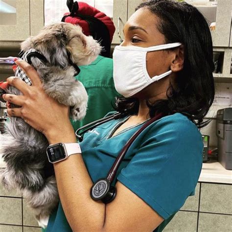 Gallery in North Las Vegas, NV | Ann Road Animal Hospital