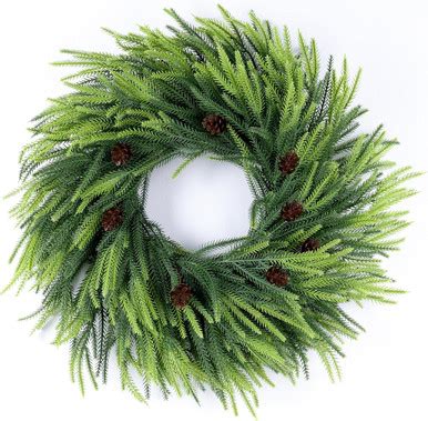 Christmas Wreath Decorations, 26" Norfolk Pine Wreath with Natural ...