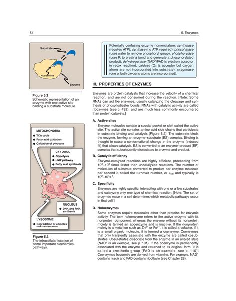 Biochemistry-22 - Potentially confusing enzyme nomenclature: synthetase ...