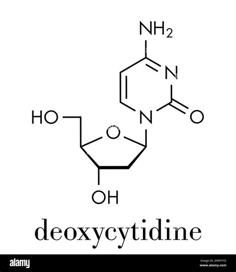 Deoxycytidine (dC) nucleoside molecule. DNA building block. Skeletal ...