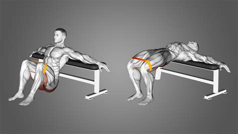 Banded Clams Muscles Worked at Mildred Kennon blog