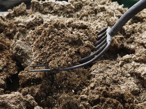 Farmyard Manure