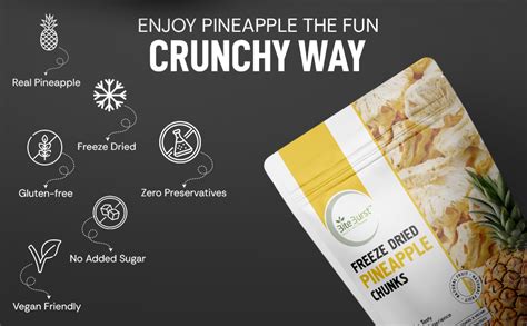 Biteburst Freeze Dried Pineapple Chunks Fruit Snack – Crunchy Real ...