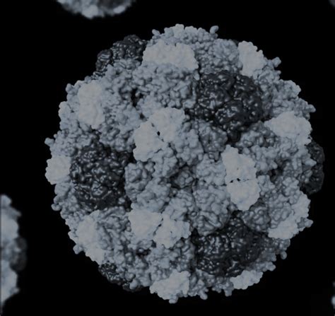 Image result for SoClean Air Purifier