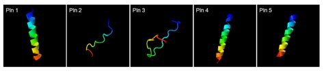 Potential of Cell-Free Supernatant from Lactobacillus plantarum NIBR97 ...