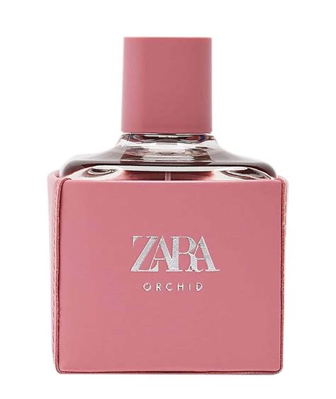Image result for Example of Sequence Algorithm