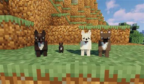 Image result for Copious Dogs Mod Install 1 7 10