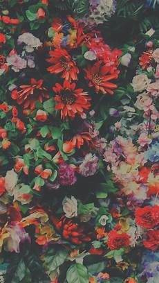 Iphone Lock Screen Vintage Wallpaper by Bestlockscreens Nature Photography Of The Field Iphone Lock Screen Vintage Wallpaper