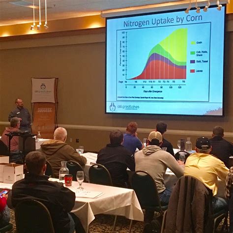 western wayne physicians