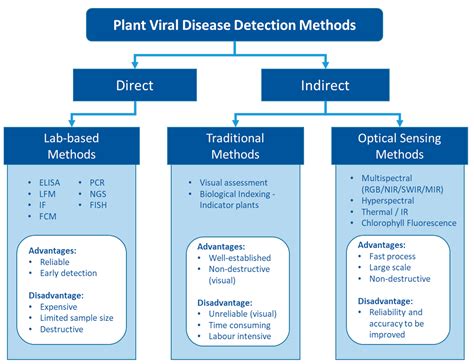 Plant Viral Disease Detection | Encyclopedia MDPI