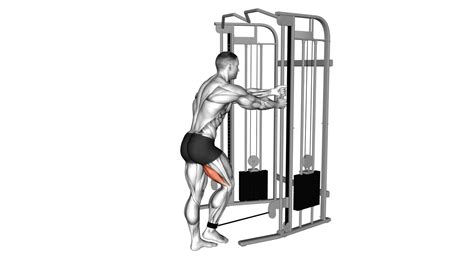 8 Effective Cable Hamstring Exercises For Stronger Legs And Better ...