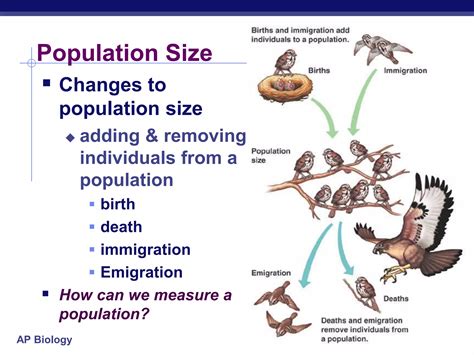 Emigration Definition Biology