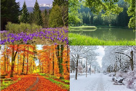 Estaciones del Año: qué son, cuáles son y sus características ...