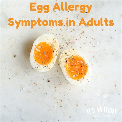 Just Egg Egg Allergy at Alexandra Hellyer blog
