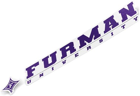 Amazon.com: Desert Cactus Furman University Sticker Paladins FU Name ...