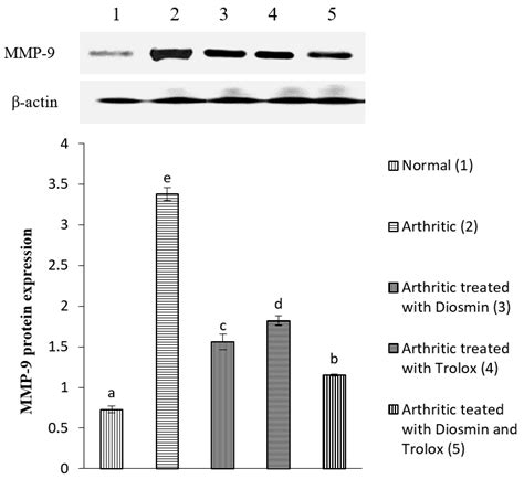 Diosmin and Trolox Have Anti-Arthritic, Anti-Inflammatory and ...