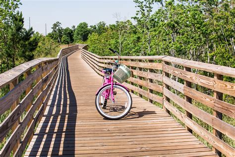 Gulf State Park Campground Reservations: Book Your Stay Now