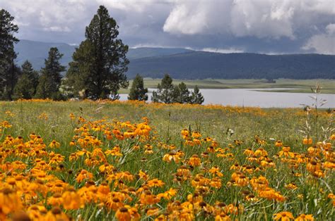 Things To Do - White Mountain Things To Do